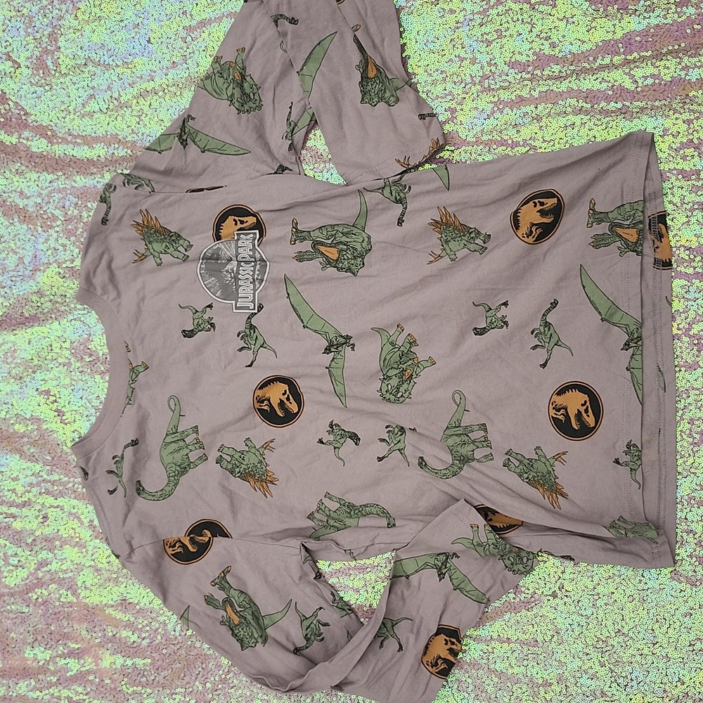 Jurassic Park Graphic Tee in Gray and Green Kids XL